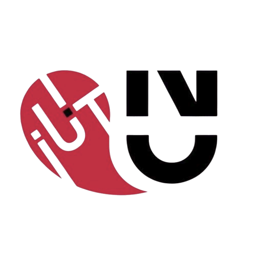 Logo IUT Nantes